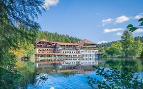 Hotel Langenwaldsee